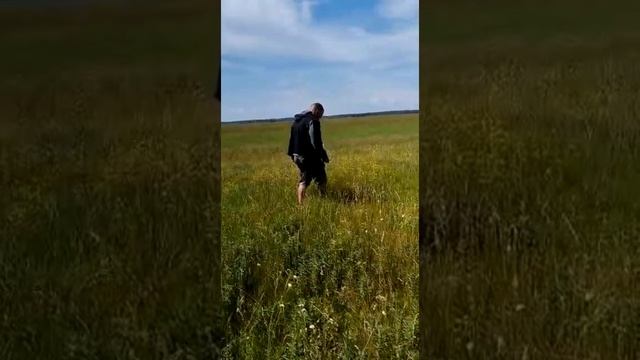 Следовая работа - Дрессировка собаки, доберман Чак смотреть онлайн