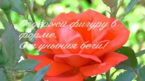 С Днем Рождения, Сестра! Красивое поздравление на день рождения сестре. Музыкальная видео открытка