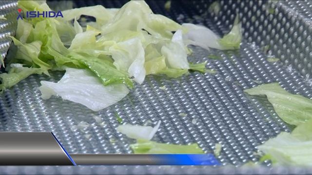 Ishida Multihead Weigher. Application: salad into bags.  Belaya Dacha, Russia. Белая Дача.