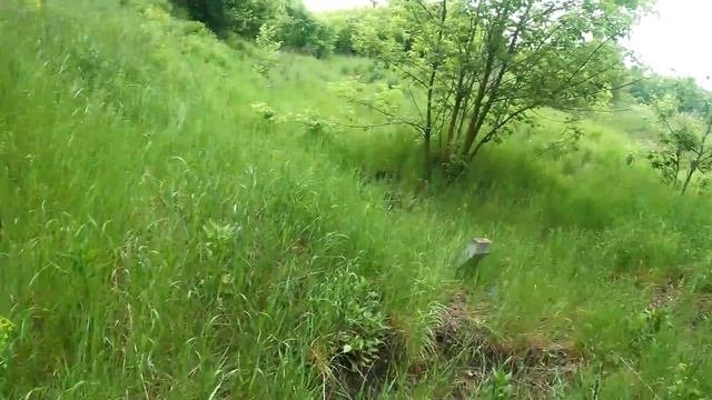 Тянем МЕДНЫЙ КАБЕЛЬ!!!!#металлокоп#копметалла