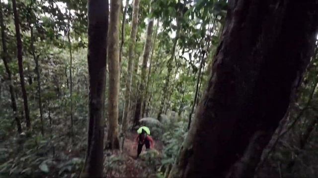 WILDTRAVLER KHAO PHANOM BENCHA NATIONALPARK EXTREAM HIKING TRIP SOON SOON..... смотреть онлайн