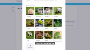 Как создать свой первый онлайн-урок на ProgressMe?