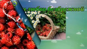 С Днем Рождения в июне. Самое красивое поздравление. Зажигательная песня и красивейшее поздравление