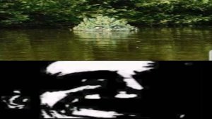 Субмеханофобия боязнь