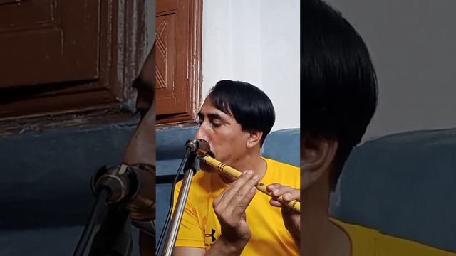 Song dil todne wale tujhe dil dhund raha hi Flute Music, Mughal Azam смотреть онлайн