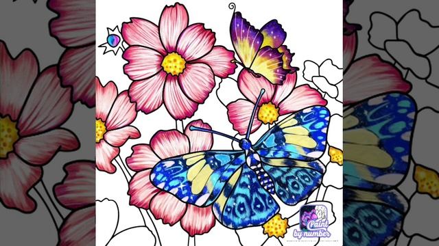 Бабочки на цветах рисуем по номерам. смотреть онлайн