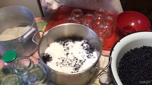Заготовки из карельской черники. Пареная черника на зиму