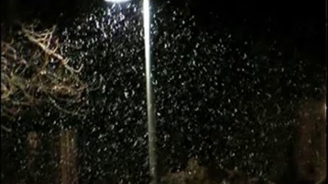 20060213 VLog 51 смотреть онлайн