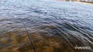 Снасть поплавок-качалка.