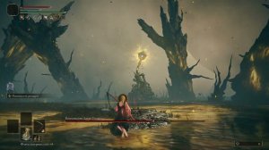 Elden Ring DLC (RL 1, +0) | Воплощение древа упадка (Scadutree Avatar)