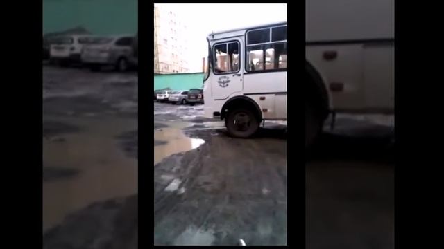 Ненецкая лайка Зевс. г.Норильск