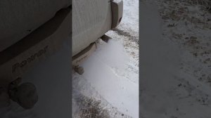 Рав4 1az-fe, ошибки 0420,0430 пробую решить проблему ad-blue(мочевина). Залил, вот что получилось.