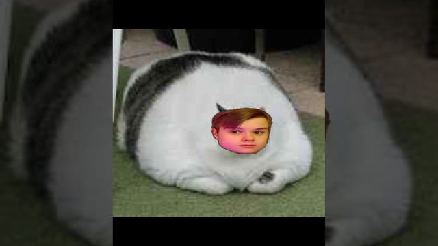 надо много кушать надо много спать смотреть онлайн