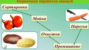 Художественный труд. 5кл. Тема ,,Технология приготовления салатов из овощей и фруктов,,