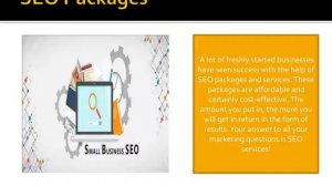 SEO Packages For Small Business Can Help Increase Sales!