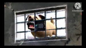 F на зоне начало 1 сезон/4 серия кланы двух сторон