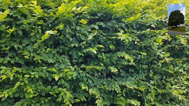 Библия Часть 1 Книга Библия смотреть онлайн