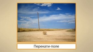 Степи России. Видеоурок по окружающему миру 4  класс