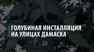 Голубиная инсталляция на улицах Дамаска