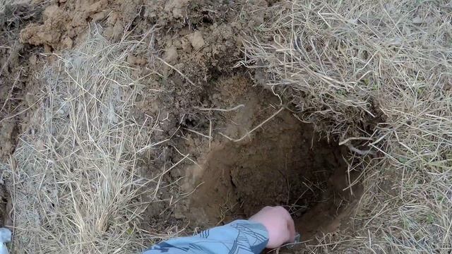 Тест на глубину металлоискатель - Фортуна M3 и Fortune PRO2.Обзор смотреть онлайн