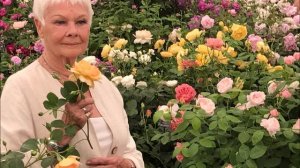 DAME JUDI DENCH READS FROM THE WINTER'S TALE- AUDIO