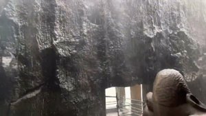 Индия: Эллора, Верхний храм Шивы.4