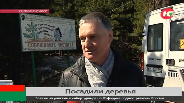В Югре растёт новая лиственничная роща