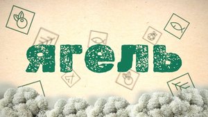 Ягель TV. Выпуск 1. Главное событие лета в Тарко-Сале