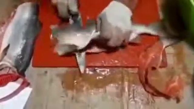 Горбуша оптом