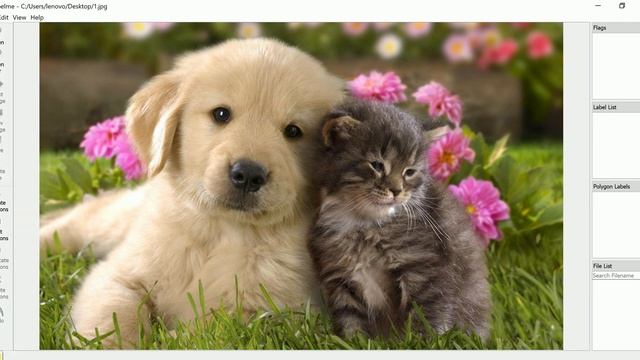 How to install and do Annotation of Images using Labelme (Easy, Simple & Flexible) смотреть онлайн