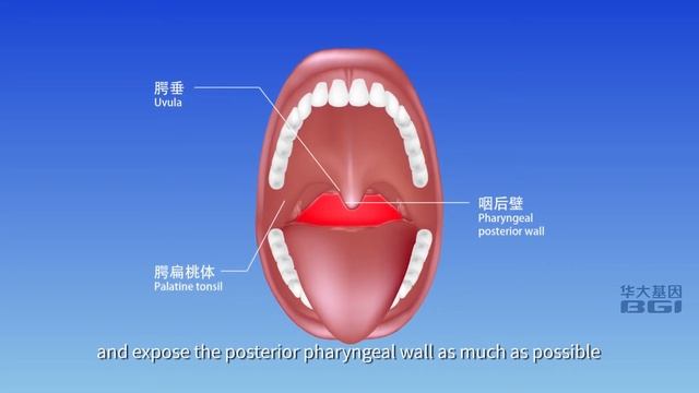 [Russian]Instruction of oropharyngeal swab Self-sampling kit for 2019 Novel Coronavirus testing смотреть онлайн
