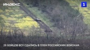 28 бойцов ВСУ сдались в плен российским войскам