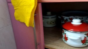 В Железноводске сняли посуточно еще одну квартиру около источников