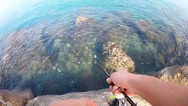 Duo Tetra Works TOTO48 - LRF - Light Rock Fishing - LRF TEAM смотреть онлайн