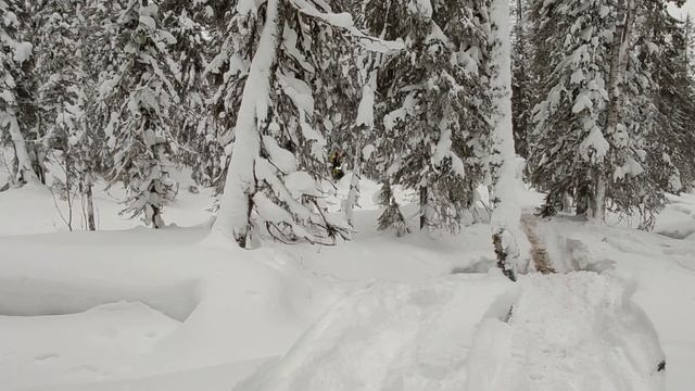 Золотанка.Кваркуш 2020.Снегоходная мекка Пермского края.Брп жжёт! смотреть онлайн