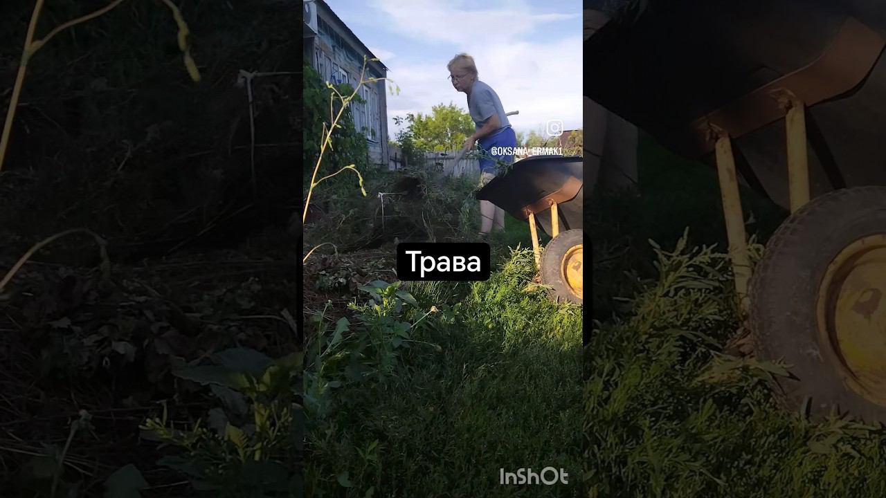 Трава Благоустройство участка  #жизньзагородом  #юмор #прикол  #свойдом #свойбизнес  #easy