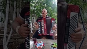 Аварская песня Магомед Тамир Синдиков