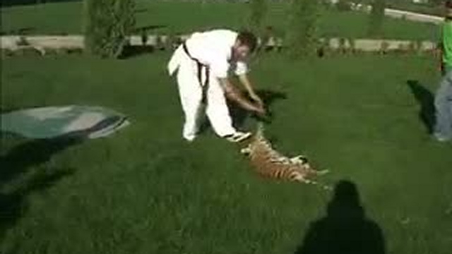 Чеченские бойцы киокушина смотреть онлайн