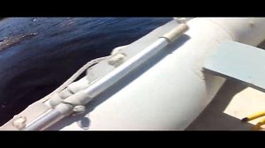 болотоход 7 лс казанка 6 скорость