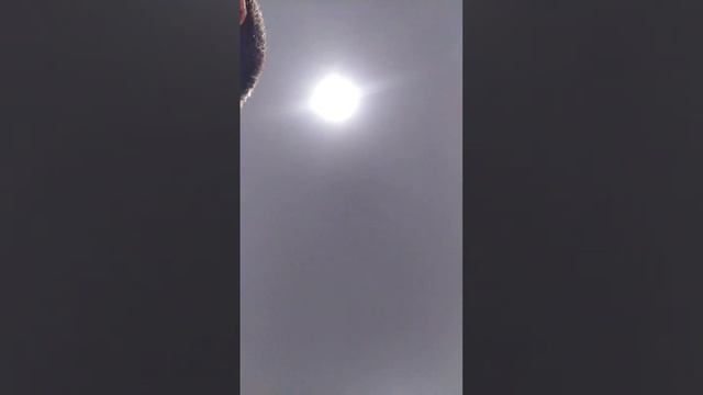 как копировать текст кнопками #треш #тупизм #shorts #whatsappstatus смотреть онлайн