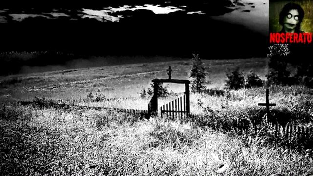 Истории на ночь - Навари борща! смотреть онлайн