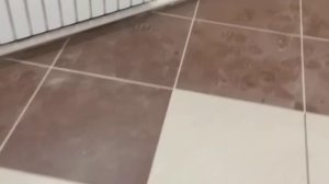 монтаж кафеля на монтажную пену