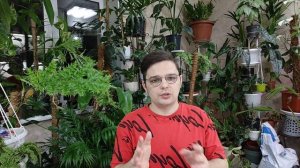 Купил квартиру? Я вернулся . Джунгли в квартире.