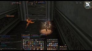 Lineage 2 oly HF Phoenix Knight Shatun Scryde x50