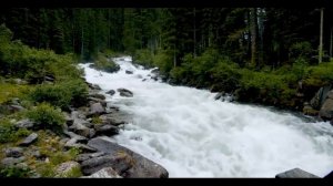 Звуки горной реки в лесу для расслабления и сна