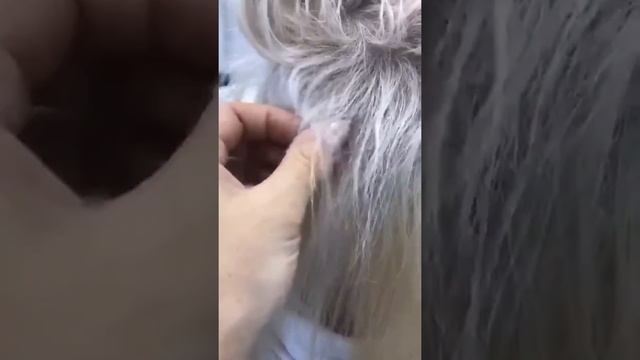 Можно ли отрастить свои волосы под наращиванием? смотреть онлайн