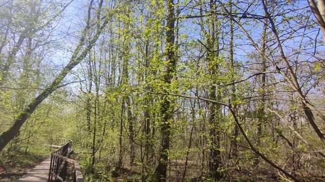 западный котлин смотреть онлайн