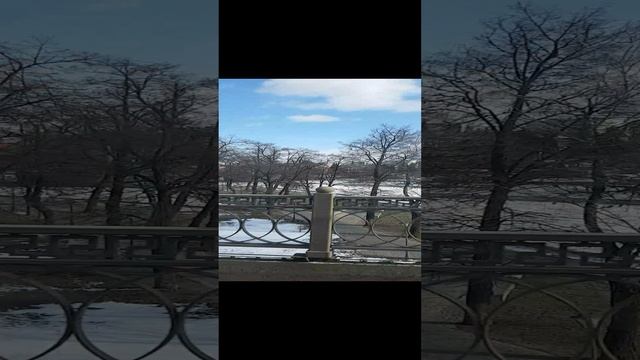 3389 Собор Михаила Архангела Успенский михайло-архангельская церковь Орлик Тургеневский мост #Shorts