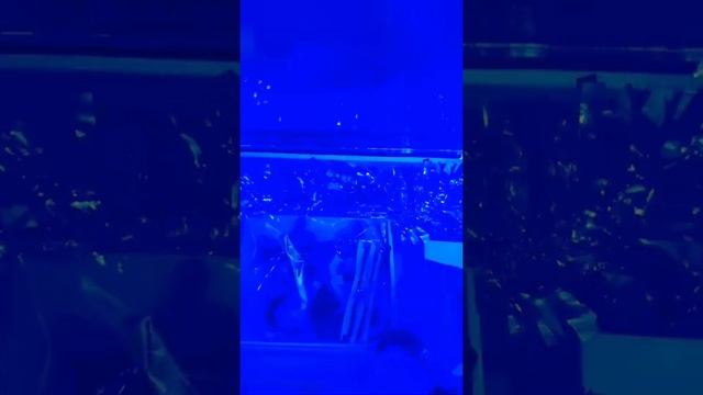 Тайный санта в импросемье смотреть онлайн