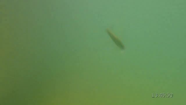 Самодельные воблера SV. смотреть онлайн